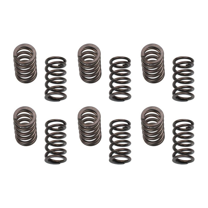 Industrial Injection 5.9 Cummins 12 Valve 150 lb Valve Spring Set