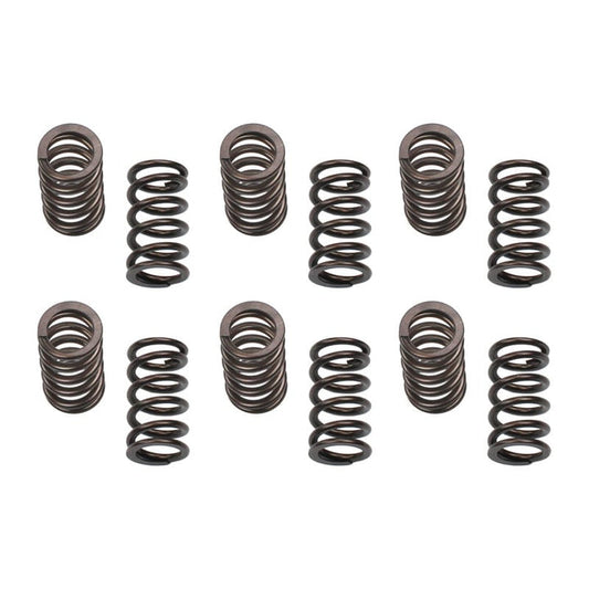 Industrial Injection 5.9 Cummins 12 Valve 150 lb Valve Spring Set